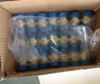 อุปกรณ์แปลงเพศชาย BSP